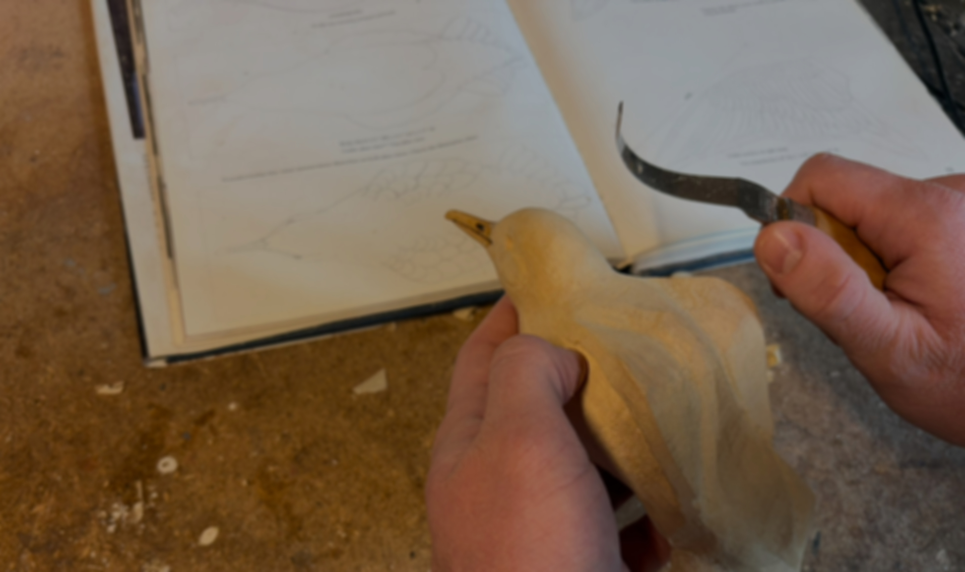 IMG 0379 Edited Edited