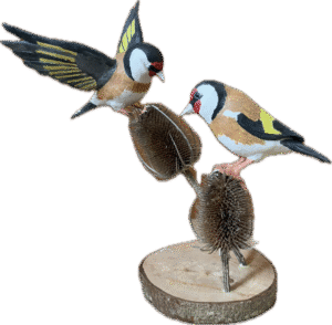 Pair of Goldfinches Pair of Goldfinches