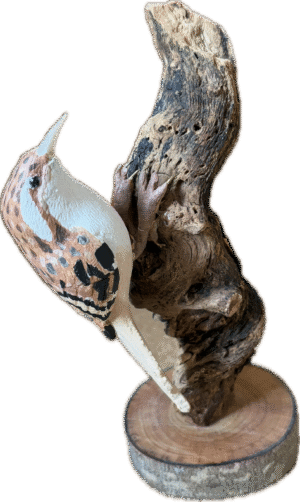 Tree Creeper Tree Creeper